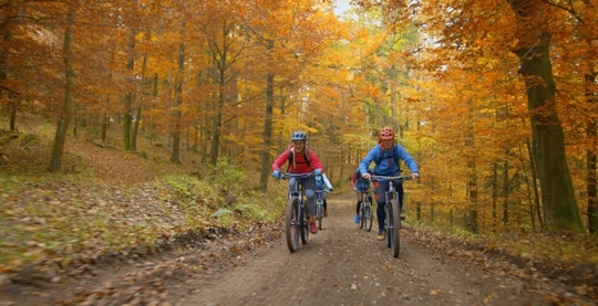 Group of friends riding bikes on a scenic wooded trail surrounded by colorful leaves on a beautiful autumn day. | ProFysio Physical Therapy