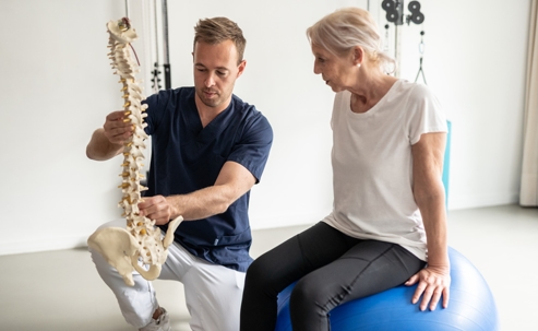Physical therapist explaining spinal rehabilitation to a patient by utilizing a 3D-model of the spine to describe how different techniques work to offer relief. | ProFysio Physical Therapy